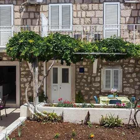 Aurelia - Studio With Terrace Apartment *